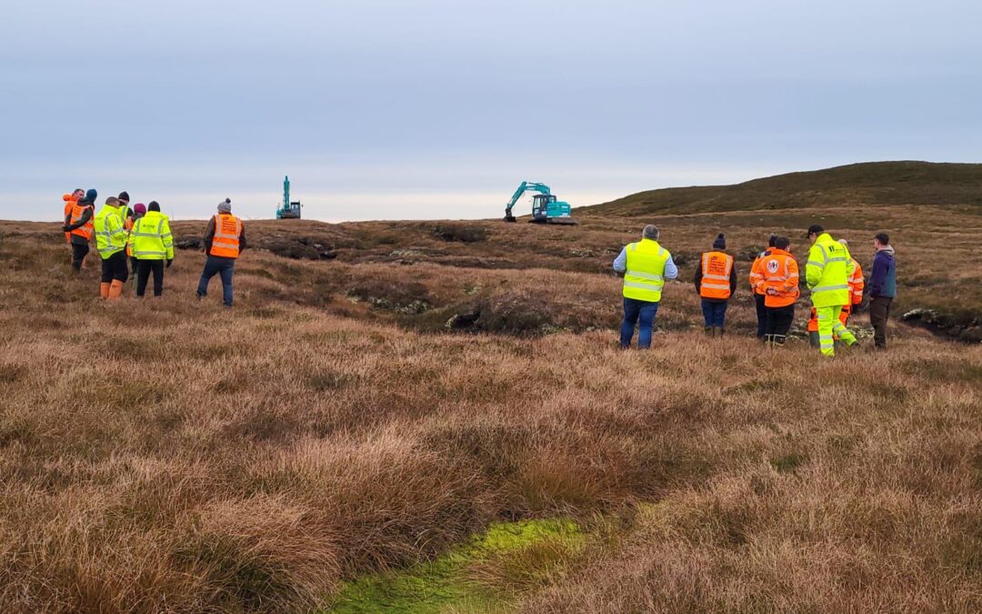 ‘For Peat’s Sake’