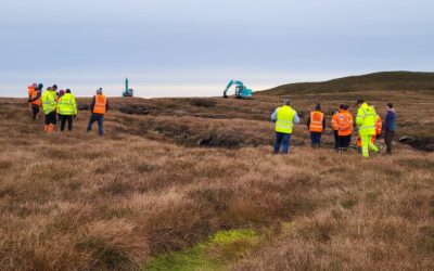 ‘For Peat’s Sake’
