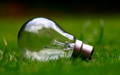 How to accelerate your carbon reduction plan: for free